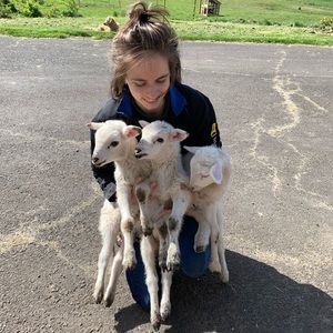 Meet your Posher, Laura